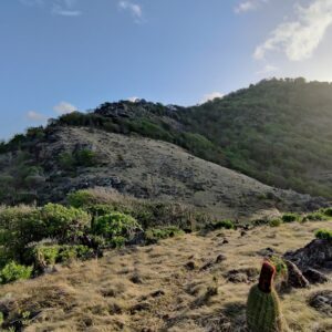 Top Hiking Trails in Antigua